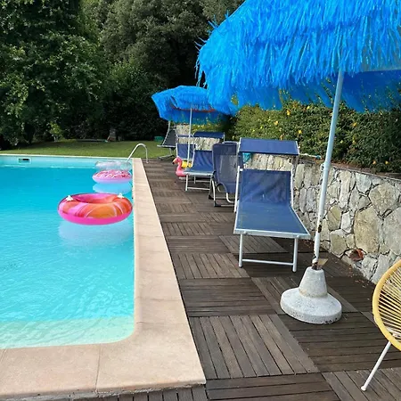 Marco's Chiatri