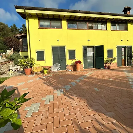 Marco's Chiatri